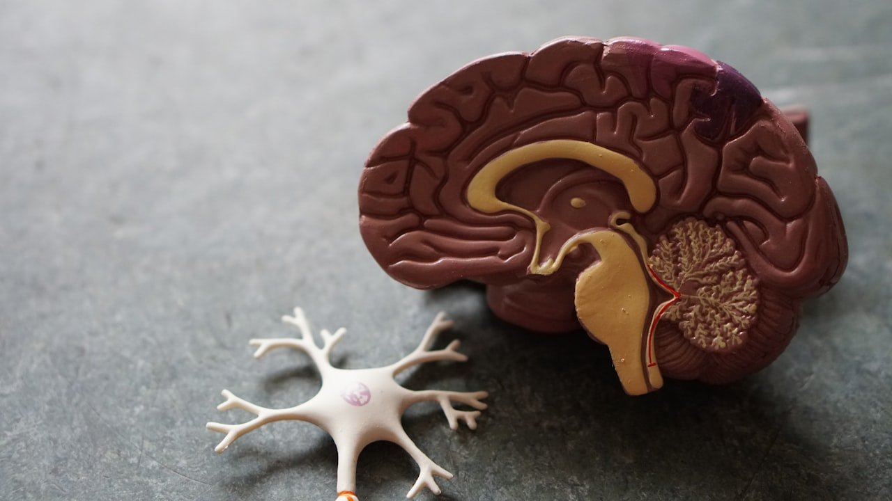 Bipolar Disorder: Separating Myth from Medical Fact